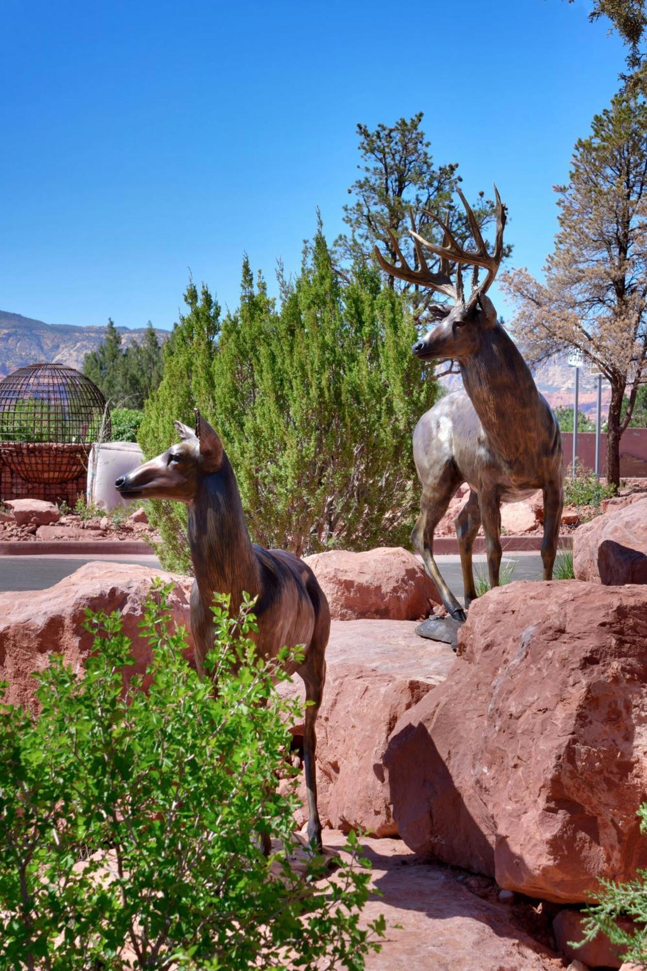 Residence Inn By Marriott Sedona Extérieur photo